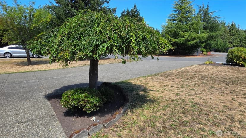 Property photo for 128 Berggren Road N, Eatonville photo 38