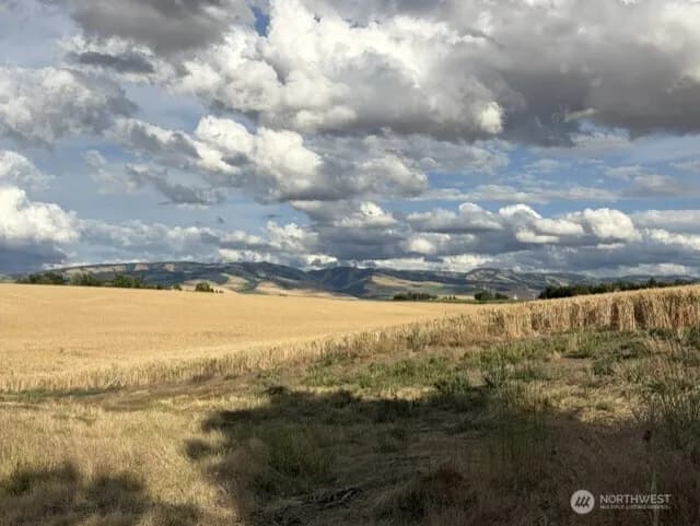 Property photo for 260 Coyote Ridge Drive, Walla Walla photo 40