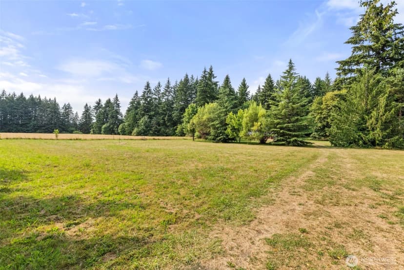 Property photo for 1238 101st Avenue Sw, Olympia photo 33