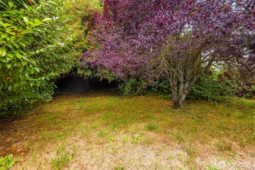Property photo for 1024 S Director Street, Seattle photo 33