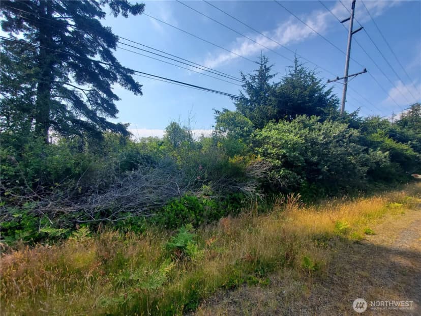 Property photo for 561 Dolphin Avenue Ne, Ocean Shores photo 6