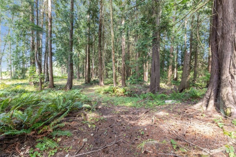Property photo for 7411 Myers Road E, Bonney Lake photo 15