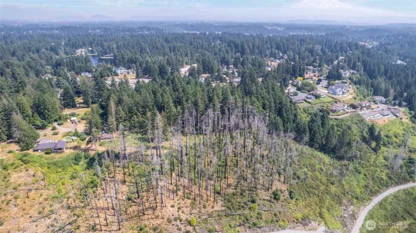 Property photo for 7411 Myers Road E, Bonney Lake photo 11