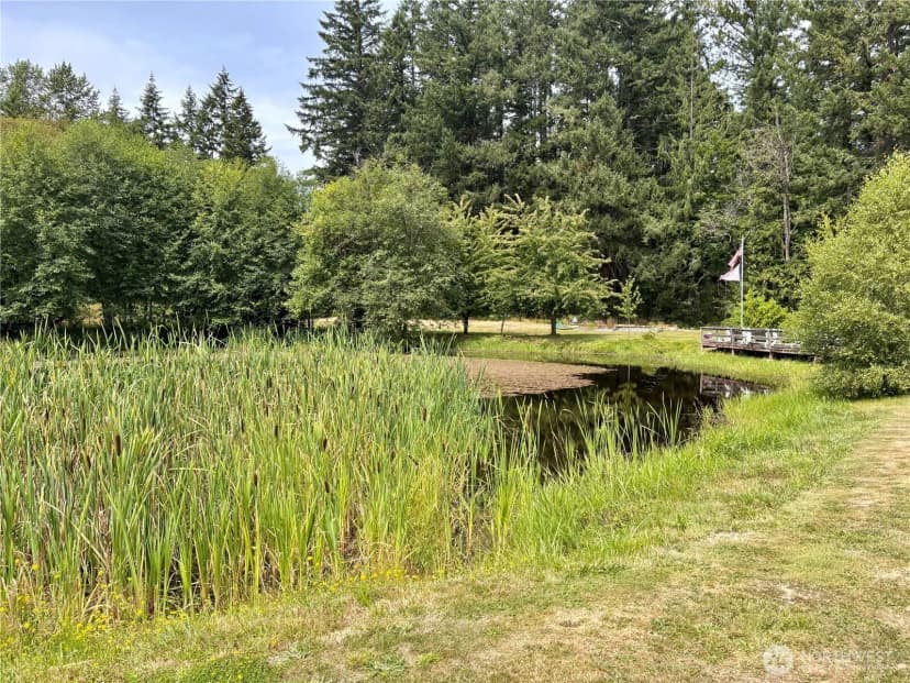 Property photo for 38519 Eatonville Cut Off Road E, Eatonville photo 15