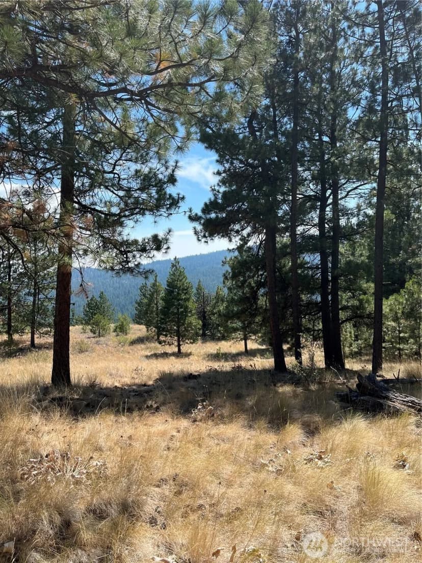 Property photo for 20 Doe Mountain Road, Tonasket photo 18