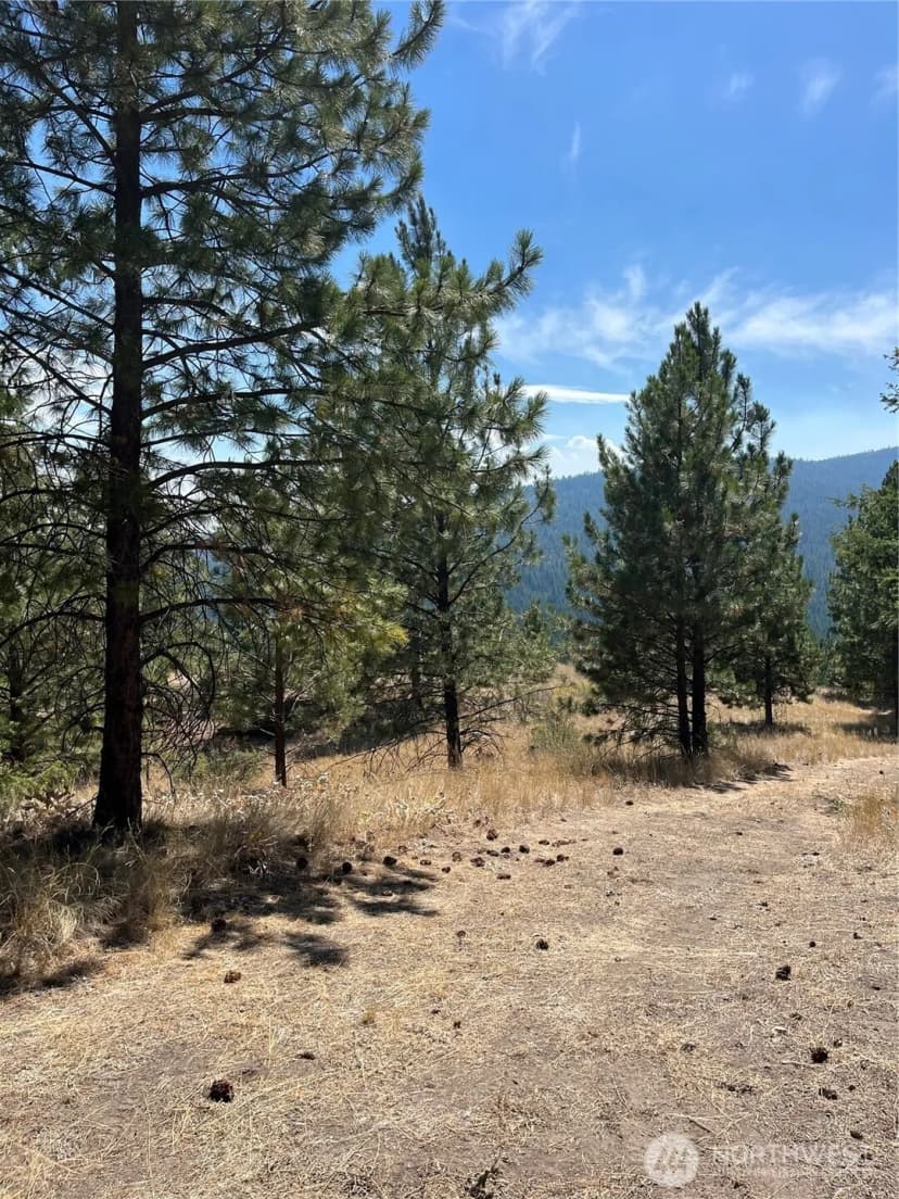 Property photo for 20 Doe Mountain Road, Tonasket photo 17