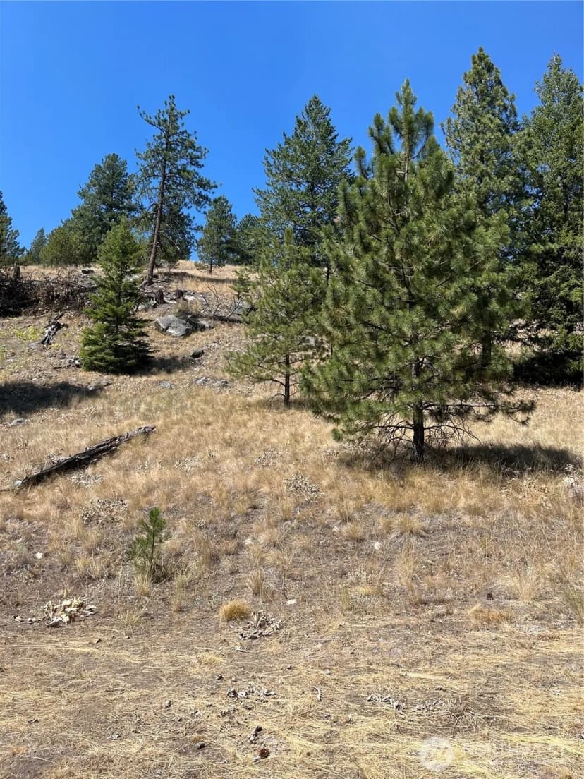 Property photo for 20 Doe Mountain Road, Tonasket photo 16
