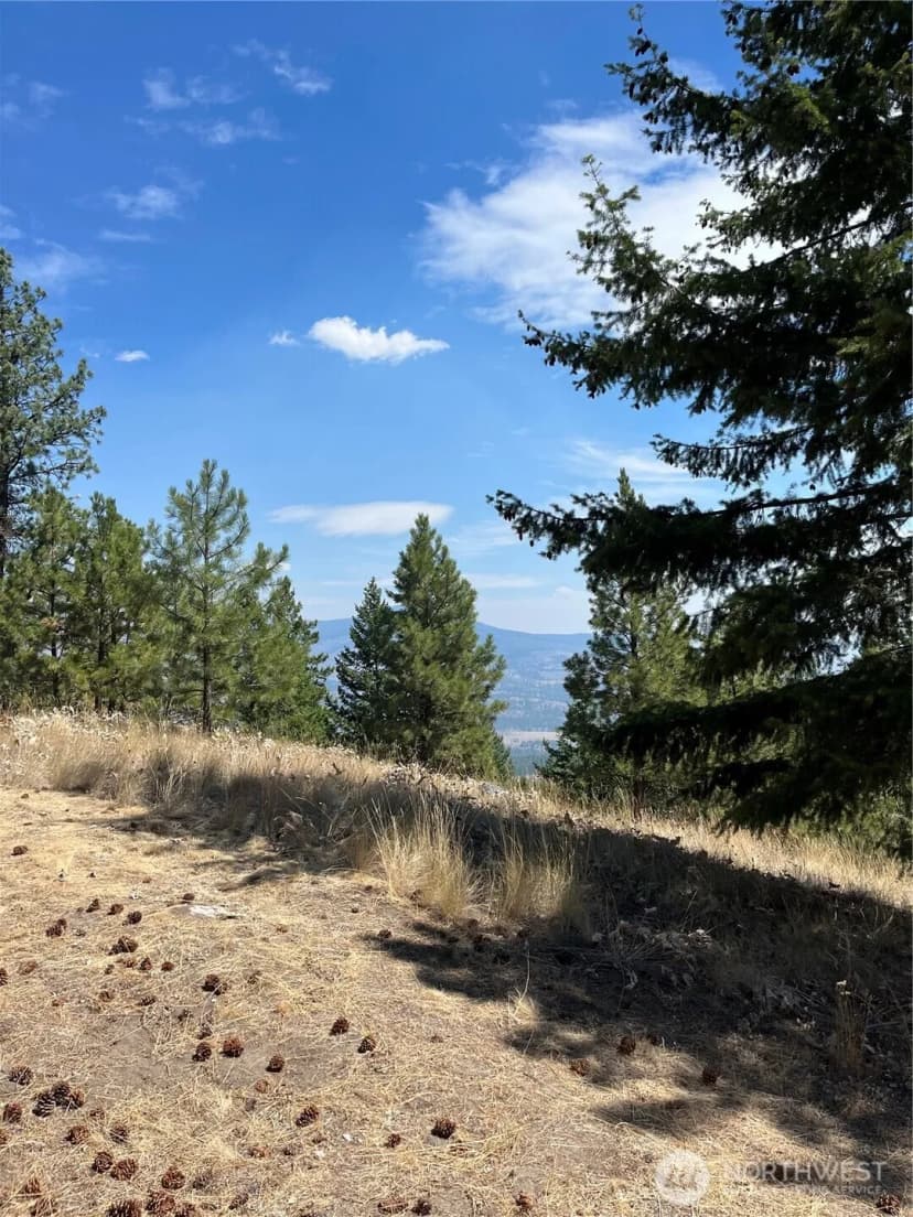 Property photo for 20 Doe Mountain Road, Tonasket photo 14