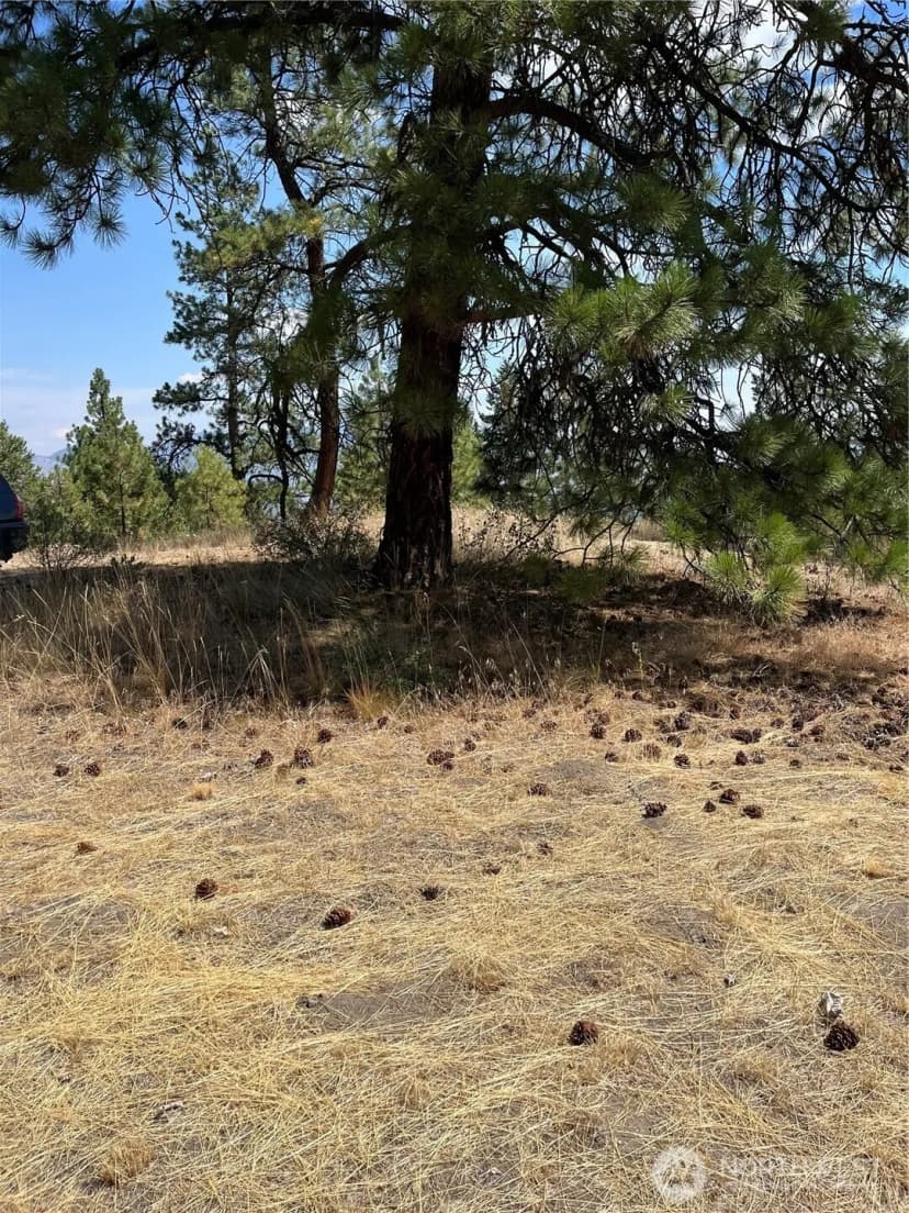 Property photo for 20 Doe Mountain Road, Tonasket photo 15