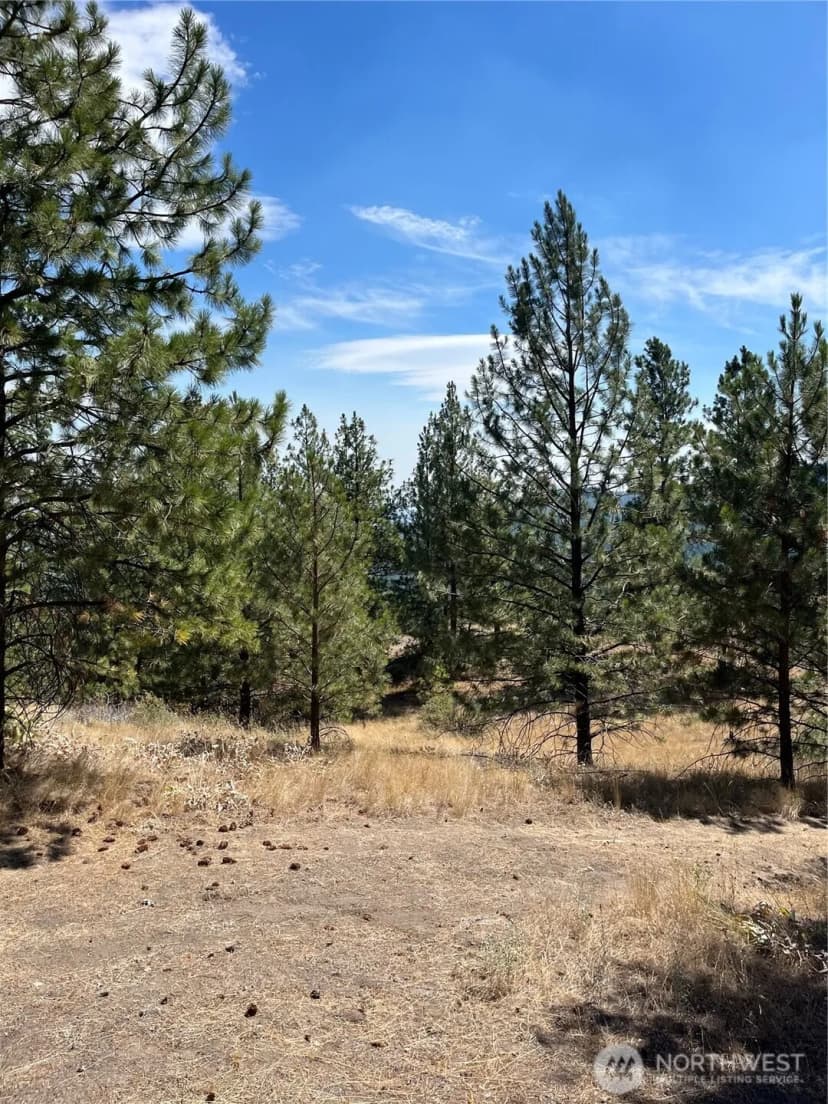 Property photo for 20 Doe Mountain Road, Tonasket photo 13