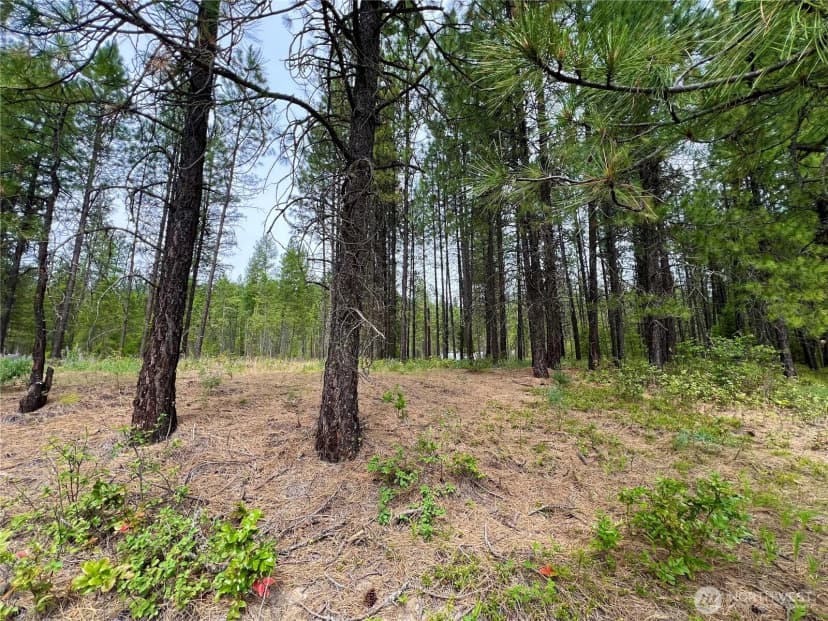 Property photo for 0 59tbd Siochanta Drive, Kettle Falls photo 8