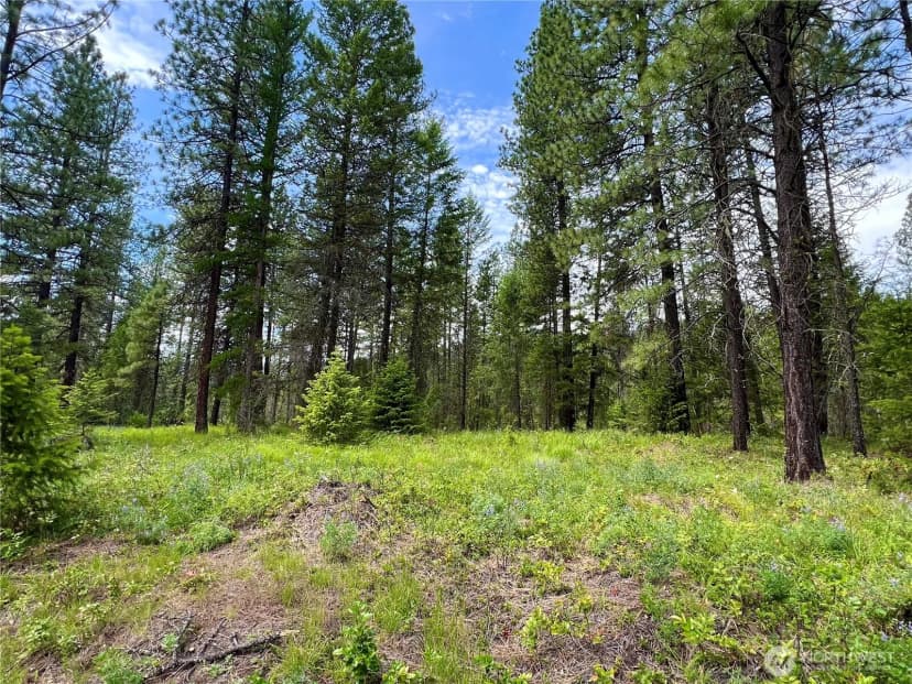Property photo for 0 59tbd Siochanta Drive, Kettle Falls photo 12