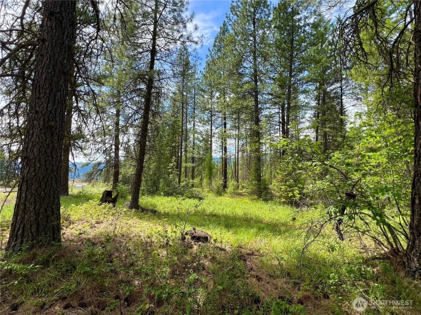 Property photo for 0 59tbd Siochanta Drive, Kettle Falls photo 14