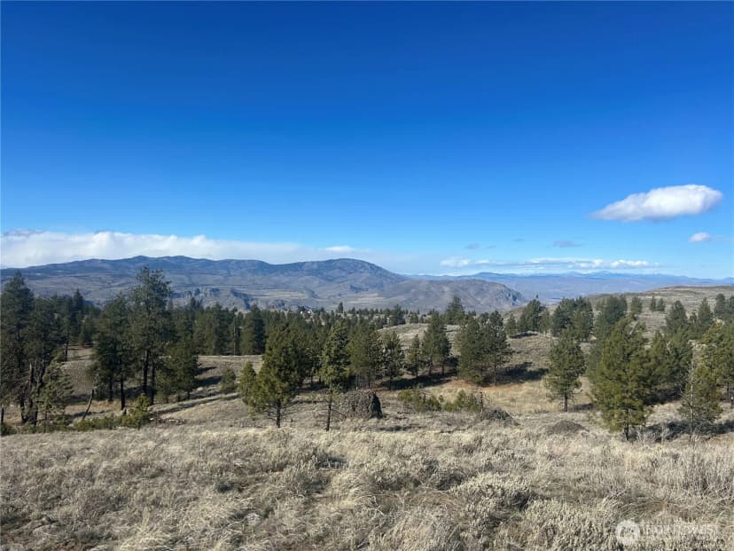 Property photo for 0 Columbia River Bluffs Road, Waterville photo 13
