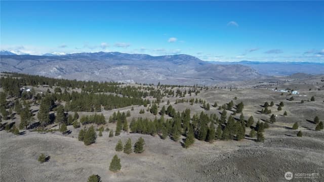 Property photo for 0 Columbia River Bluffs Road, Waterville photo 5