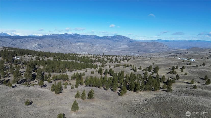 Property photo for 0 Columbia River Bluffs Road, Waterville photo 5