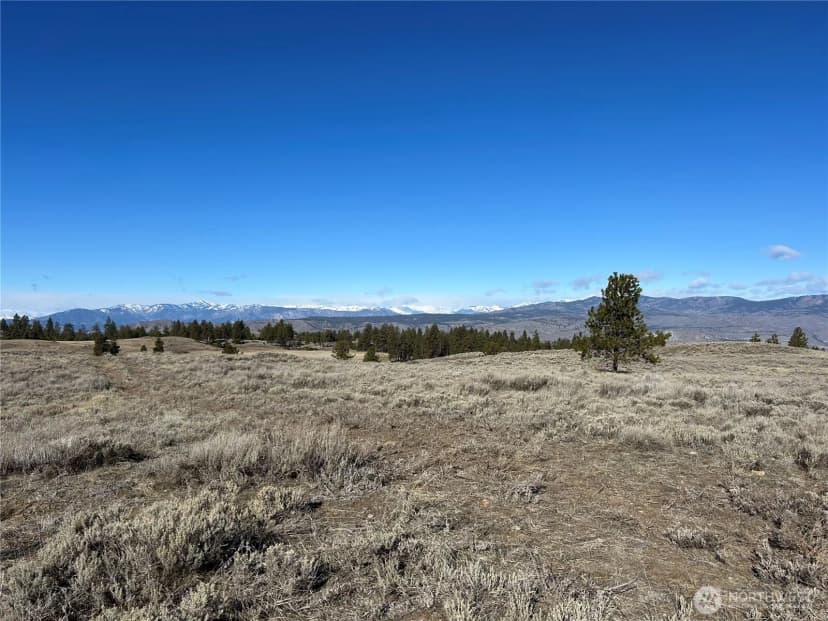 Property photo for 0 Columbia River Bluffs Road, Waterville photo 18