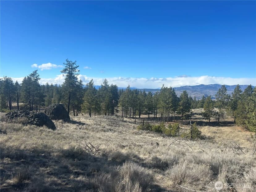Property photo for 0 Columbia River Bluffs Road, Waterville photo 14