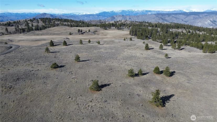 Property photo for 0 Columbia River Bluffs Road, Waterville photo 10