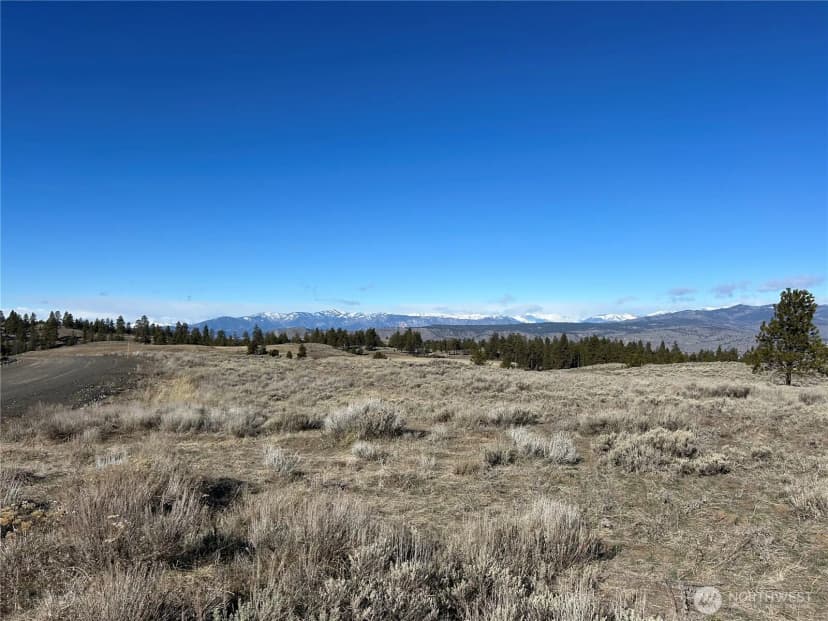 Property photo for 0 Columbia River Bluffs Road, Waterville photo 17