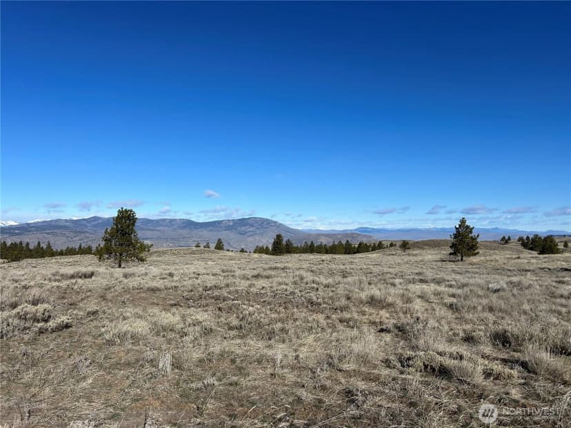 Property photo for 0 Columbia River Bluffs Road, Waterville photo 16