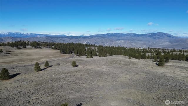 Property photo for 0 Columbia River Bluffs Road, Waterville photo 4