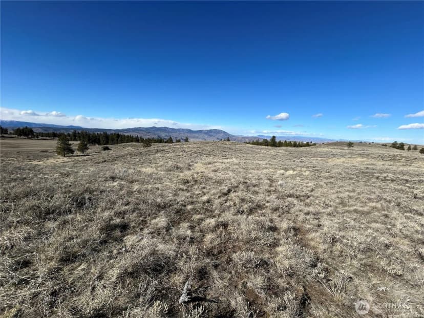 Property photo for 0 Columbia River Bluffs Road, Waterville photo 11