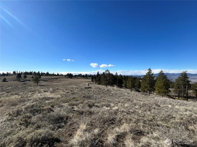 Property photo for 0 Columbia River Bluffs Road, Waterville photo 15