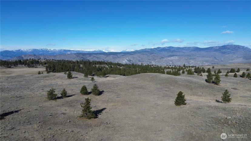 Property photo for 0 Columbia River Bluffs Road, Waterville photo 9