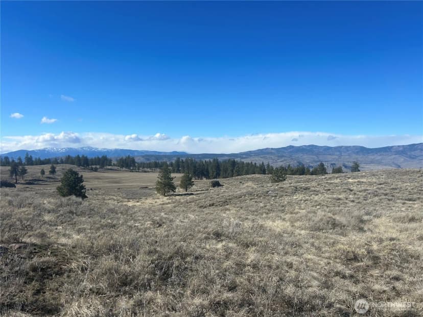 Property photo for 0 Columbia River Bluffs Road, Waterville photo 12