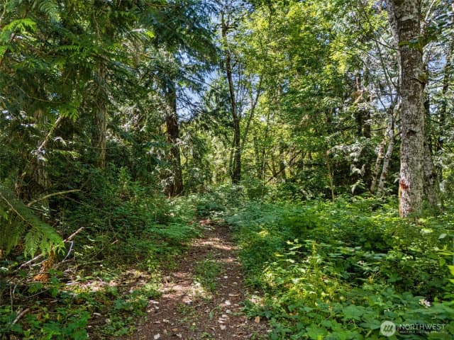Property photo for 0 Rouse Road Sw, Longbranch photo 5