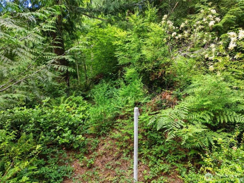 Property photo for 0 Rouse Road Sw, Longbranch photo 19