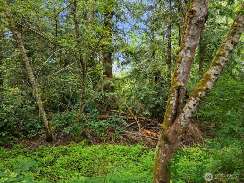 Property photo for 0 Rouse Road Sw, Longbranch photo 12