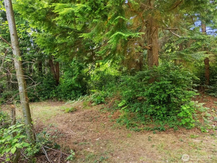 Property photo for 0 Rouse Road Sw, Longbranch photo 15