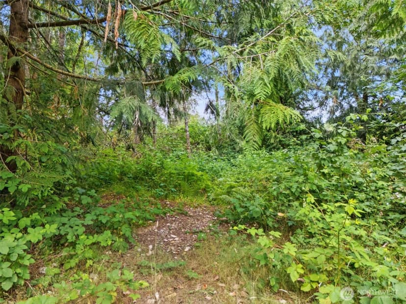 Property photo for 0 Rouse Road Sw, Longbranch photo 11