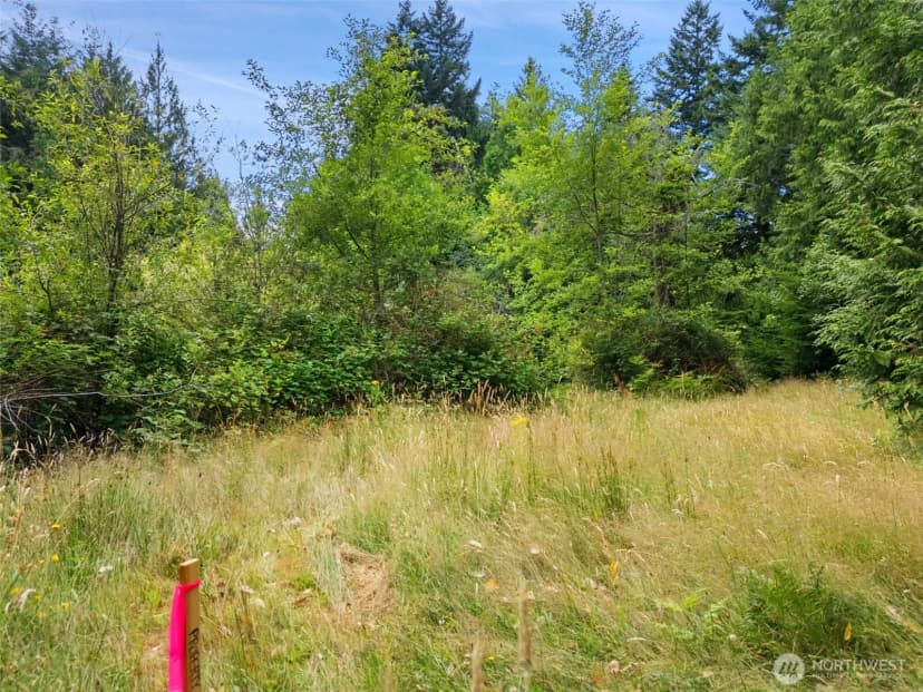 Property photo for 0 Rouse Road Sw, Longbranch photo 14