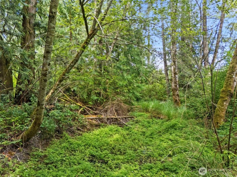 Property photo for 0 Rouse Road Sw, Longbranch photo 17