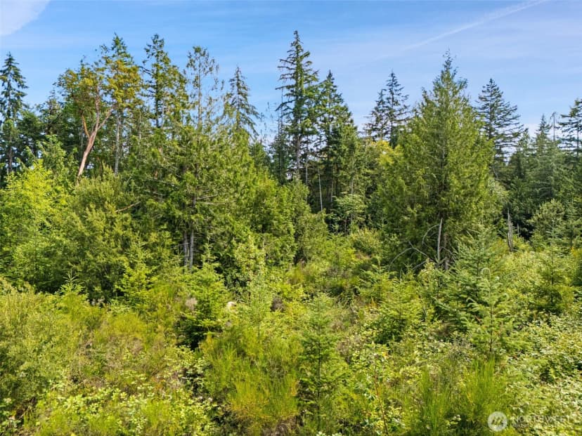 Property photo for 0 Rouse Road Sw, Longbranch photo 8