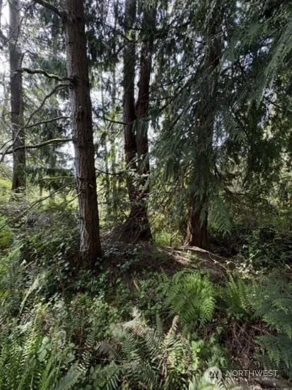 Property photo for 11106 Spruce Dr, Anderson Island photo 3