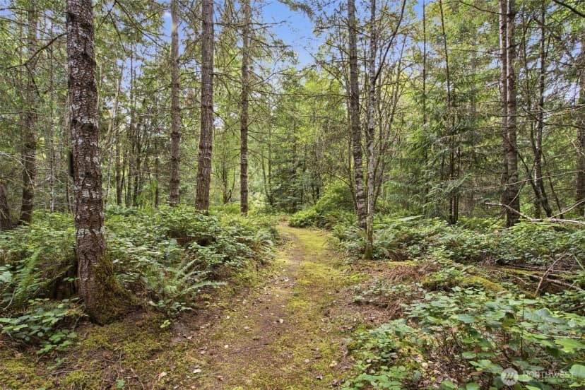 Property photo for 114 Headwaters Lane, Port Angeles photo 40
