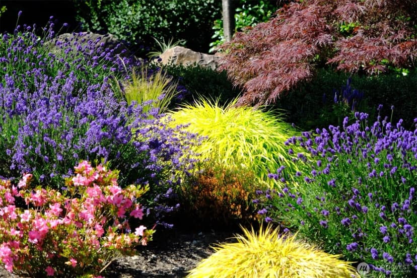 Property photo for 867 224th Avenue Ne, Sammamish photo 32