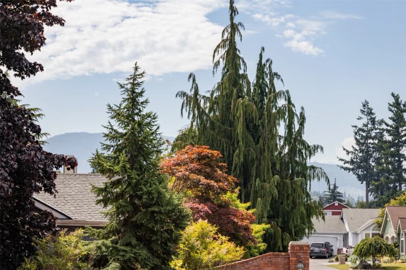 Property photo for 524 W Prairie Street, Sequim photo 7