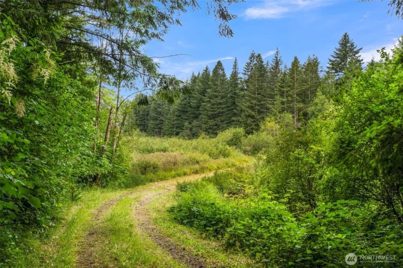 Property photo for 3832 Ne Cavitt Road, Camas photo 6