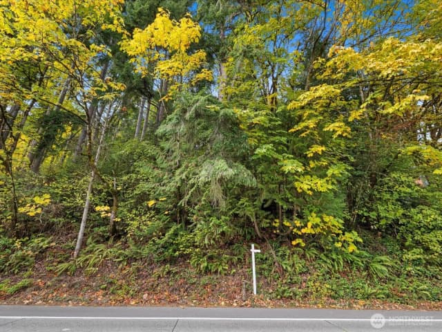 Property photo for 445 W Lake Sammamish Parkway Se, Bellevue photo 4