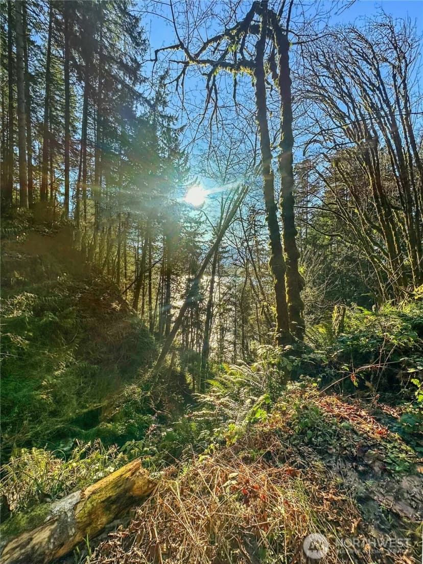 Property photo for 26 Riverview East Road, Cathlamet photo 23