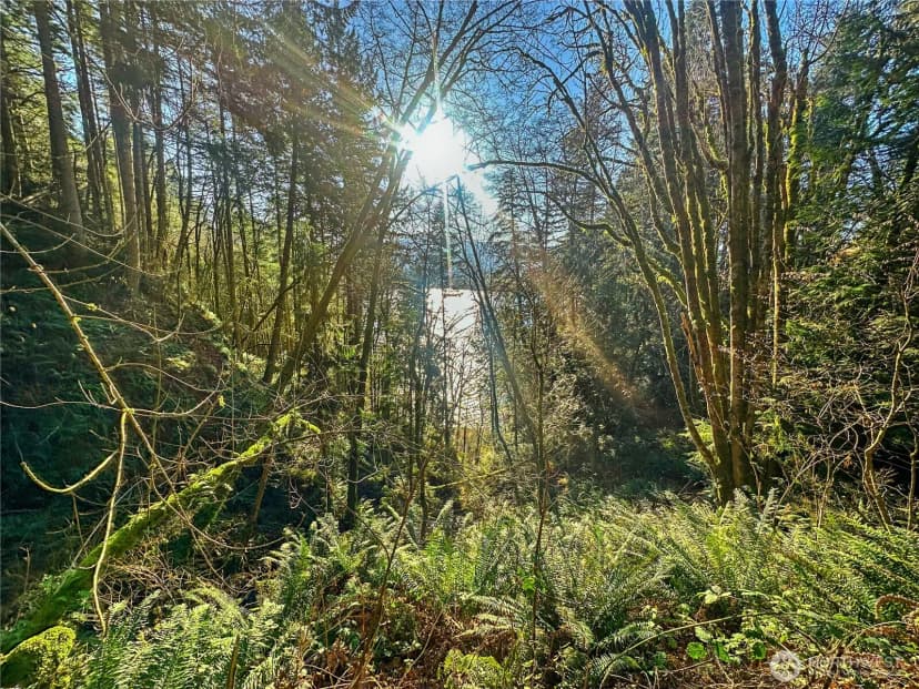 Property photo for 26 Riverview East Road, Cathlamet photo 25