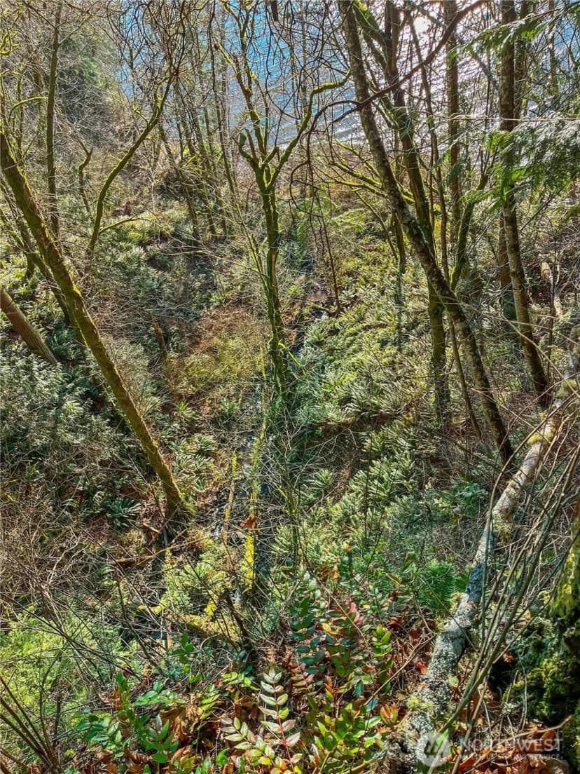 Property photo for 26 Riverview East Road, Cathlamet photo 28