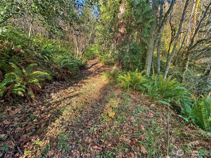 Property photo for 26 Riverview East Road, Cathlamet photo 20