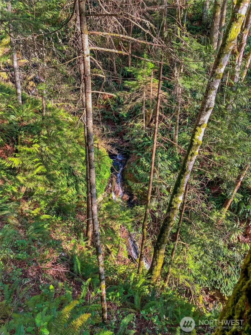 Property photo for 26 Riverview East Road, Cathlamet photo 26