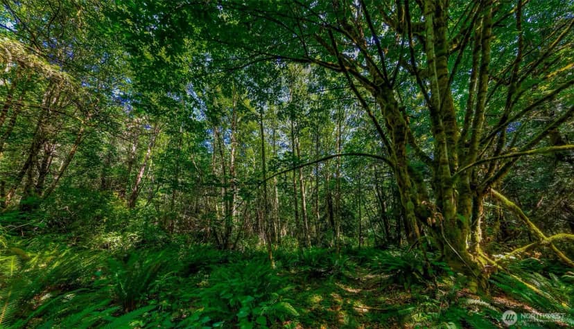 Property photo for 8679 Ne Fox Den Lane, Bainbridge Island photo 3